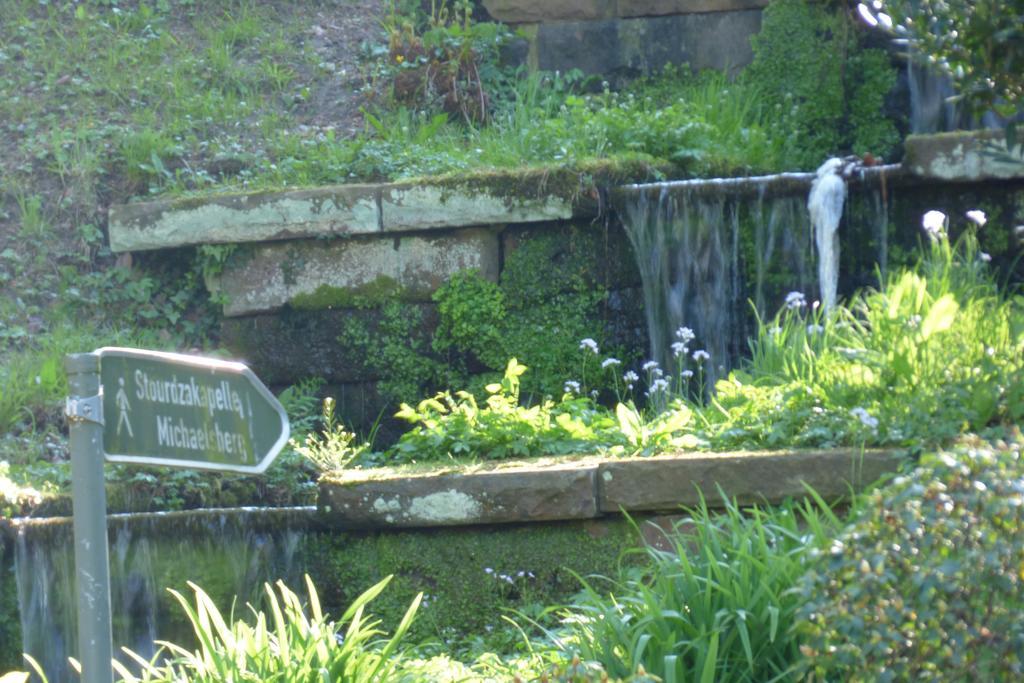 Colibri Apartment Baden-Baden Dış mekan fotoğraf