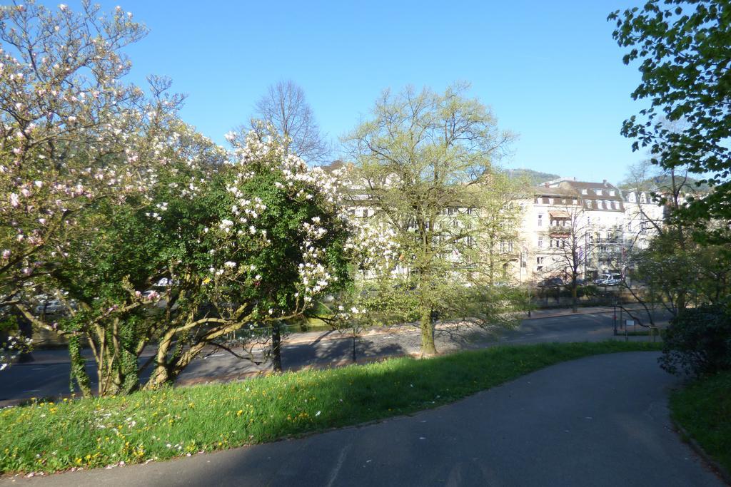 Colibri Apartment Baden-Baden Dış mekan fotoğraf